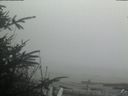 ./images/calvert/beach/20200415/beach20200415_143503.jpg