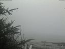 ./images/calvert/beach/20200415/beach20200415_144002.jpg