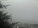 ./images/calvert/beach/20200415/beach20200415_144503.jpg