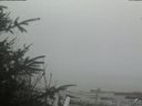 ./images/calvert/beach/20200415/beach20200415_145002.jpg