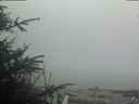 ./images/calvert/beach/20200415/beach20200415_145503.jpg