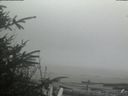 ./images/calvert/beach/20200415/beach20200415_150503.jpg
