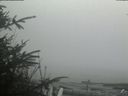 ./images/calvert/beach/20200415/beach20200415_151003.jpg