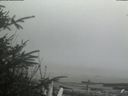./images/calvert/beach/20200415/beach20200415_151503.jpg