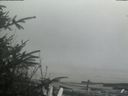 ./images/calvert/beach/20200415/beach20200415_152002.jpg