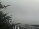 ./images/calvert/beach/20200415/beach20200415_152503.jpg