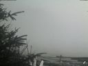 ./images/calvert/beach/20200415/beach20200415_153502.jpg