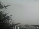 ./images/calvert/beach/20200415/beach20200415_154001.jpg