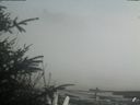 ./images/calvert/beach/20200415/beach20200415_155001.jpg