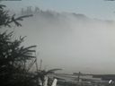 ./images/calvert/beach/20200415/beach20200415_155502.jpg