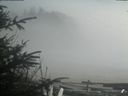 ./images/calvert/beach/20200415/beach20200415_160502.jpg