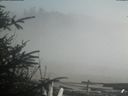 ./images/calvert/beach/20200415/beach20200415_161002.jpg