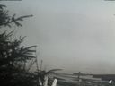 ./images/calvert/beach/20200415/beach20200415_161502.jpg
