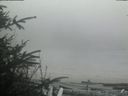 ./images/calvert/beach/20200416/beach20200416_150502.jpg