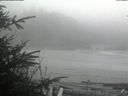 ./images/calvert/beach/20200416/beach20200416_152001.jpg
