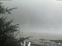 ./images/calvert/beach/20200416/beach20200416_152501.jpg