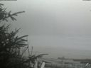 ./images/calvert/beach/20200416/beach20200416_155001.jpg
