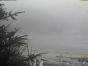 ./images/calvert/beach/20200416/beach20200416_161002.jpg