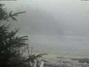 ./images/calvert/beach/20200416/beach20200416_162003.jpg