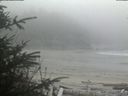 ./images/calvert/beach/20200416/beach20200416_163502.jpg