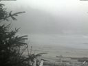./images/calvert/beach/20200416/beach20200416_164003.jpg