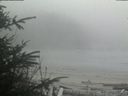 ./images/calvert/beach/20200416/beach20200416_164502.jpg