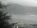 ./images/calvert/beach/20200416/beach20200416_165002.jpg