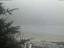 ./images/calvert/beach/20200416/beach20200416_171001.jpg