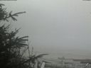 ./images/calvert/beach/20200416/beach20200416_175002.jpg