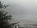./images/calvert/beach/20200416/beach20200416_181002.jpg