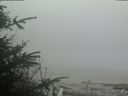 ./images/calvert/beach/20200416/beach20200416_182502.jpg