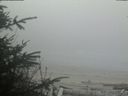 ./images/calvert/beach/20200416/beach20200416_183502.jpg