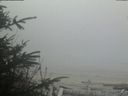 ./images/calvert/beach/20200416/beach20200416_184501.jpg