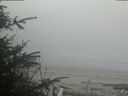 ./images/calvert/beach/20200416/beach20200416_185002.jpg