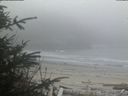 ./images/calvert/beach/20200416/beach20200416_201003.jpg