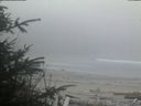 ./images/calvert/beach/20200416/beach20200416_202003.jpg