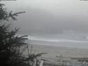 ./images/calvert/beach/20200416/beach20200416_203502.jpg
