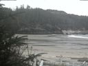 ./images/calvert/beach/20200417/beach20200417_154503.jpg