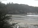 ./images/calvert/beach/20200417/beach20200417_155503.jpg