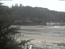 ./images/calvert/beach/20200417/beach20200417_163502.jpg