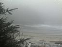 ./images/calvert/beach/20200417/beach20200417_191501.jpg