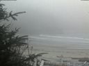 ./images/calvert/beach/20200417/beach20200417_194503.jpg