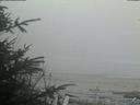 ./images/calvert/beach/20200417/beach20200417_200502.jpg