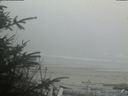 ./images/calvert/beach/20200417/beach20200417_201002.jpg