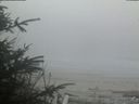 ./images/calvert/beach/20200417/beach20200417_202503.jpg