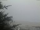 ./images/calvert/beach/20200417/beach20200417_203501.jpg