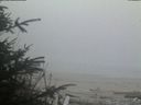 ./images/calvert/beach/20200417/beach20200417_204001.jpg