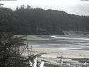 ./images/calvert/beach/20200418/beach20200418_152502.jpg