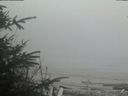 ./images/calvert/beach/20200418/beach20200418_173503.jpg