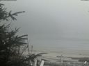 ./images/calvert/beach/20200418/beach20200418_174502.jpg